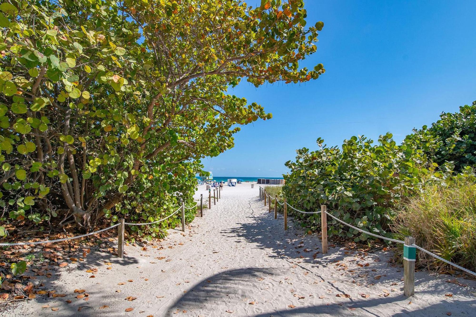 Charming Large Studio Near Ocean Dr - South Beach ميامي بيتش المظهر الخارجي الصورة