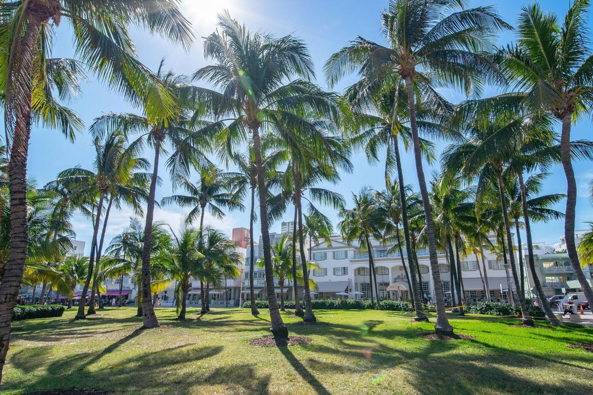 Charming Large Studio Near Ocean Dr - South Beach ميامي بيتش المظهر الخارجي الصورة